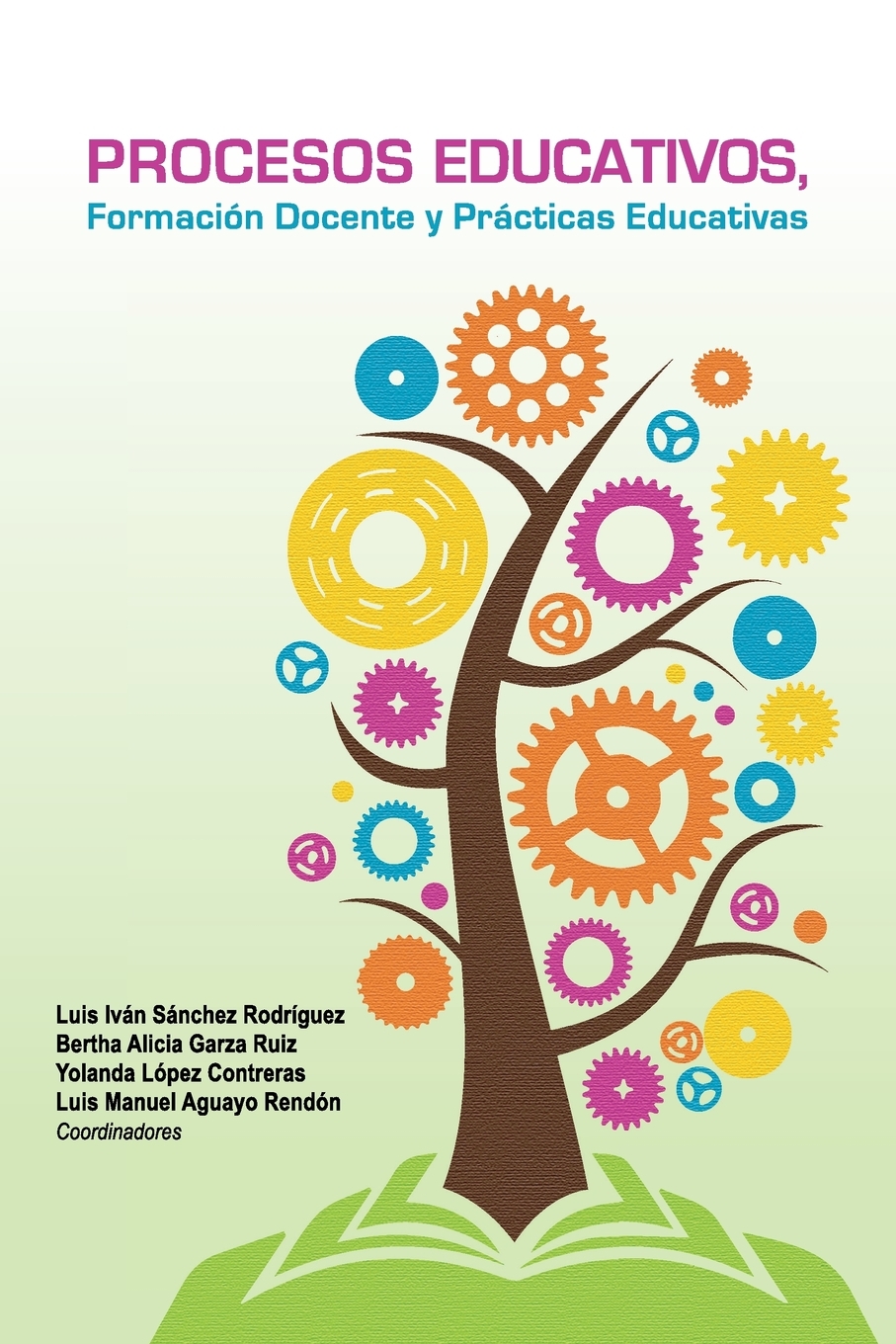 Formaci Buy Procesos educativos formaci n docente y pr cticas educativas Book ...