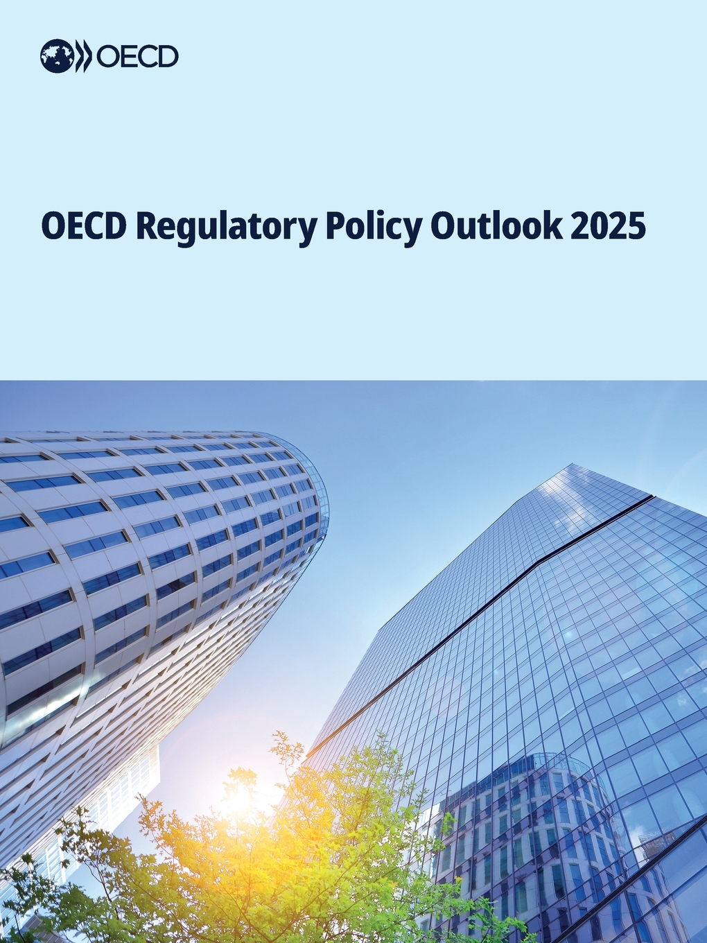 Buy OECD Regulatory Policy Outlook 2025