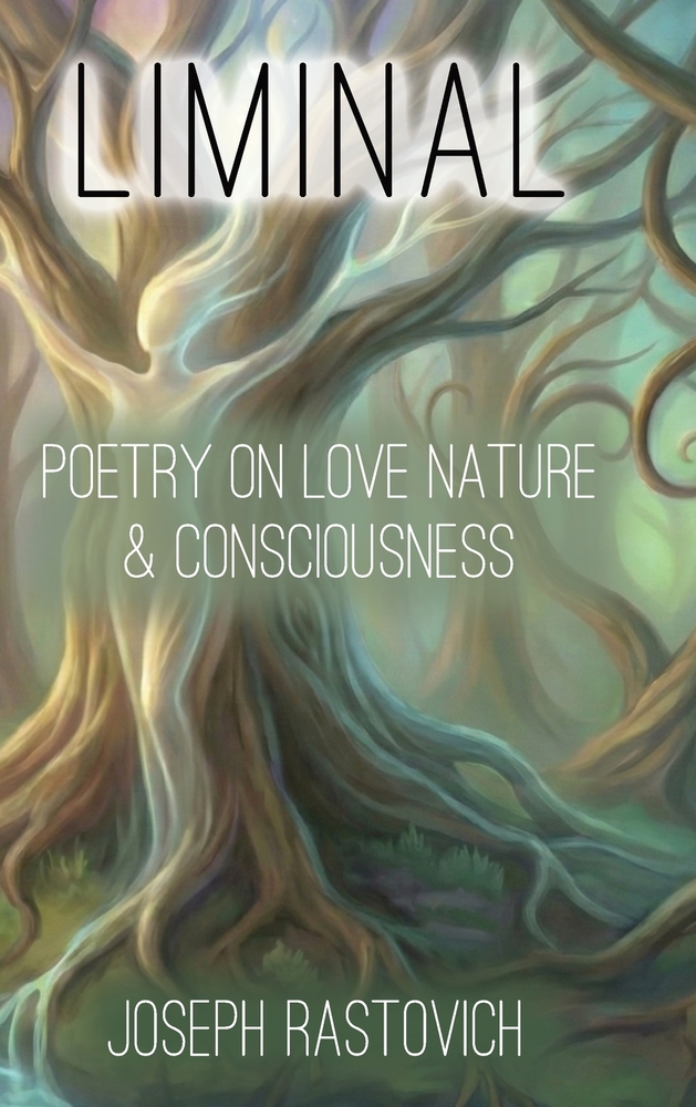 Liminal book cover