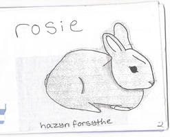 cover of ‘rosie’