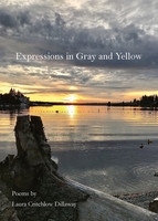 Book cover: Expressions in Gray and Yellow